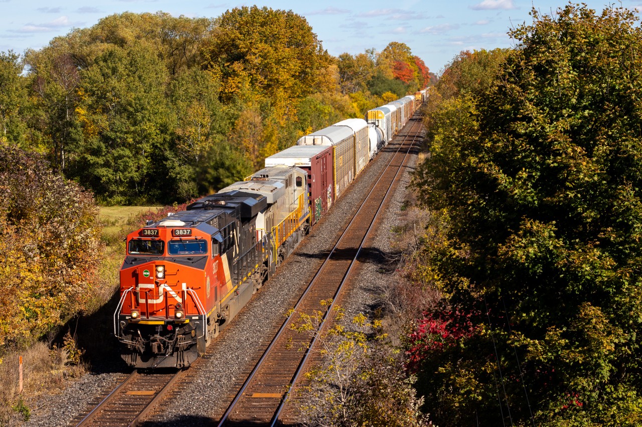 CN 301 hustles down the Dundas Sub with a pair of ES44ACs, the latter being Ex-CREX. I was hoping to shoot this frame with CN 583 who left Paris right behind 301 but RTC put him on the south track, messing up my attempt to frame them passing the vibrant fall colours. I guess that's why you photograph every train you see :)
There were some really nice cylindrical hoppers on this train including a "Canada" one with barely any graffiti!