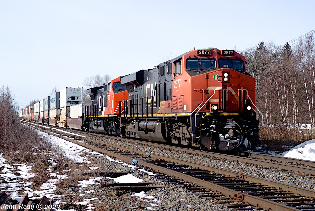 January 29th @ 12:08, CN Z120 by Springhill Junction with CN 2877, CN (EF-644zf AC44C6M - my first photo of one of these rebuilds) 3305
+ DP CN 3909 facing backwards. Note the improved view at S'Hill Jct thanks to ongoing rail replacement in the siding that has flattened the lineside foliage.
See also https://www.flickr.com/photos/148537131@N07/52656460736/in/dateposted-public/ (trailing unit)
and https://www.flickr.com/photos/148537131@N07/52655975827/in/dateposted-public/ (DPU)