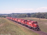 Summer 1998, CP SD40-2s 5421 and 5616 with five siblings at Nichols Rd, MP 150.5 CP Belleville sub with an eastbound container train.
