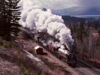 In 1979, the BC government ran a west coast Canada and USA tourist promotion train, with ex CP 2860 Royal Hudson as the attention-raising star.  Here, on its second day, Thursday 1979-03-29, the Good Times ‘79 Express is eastbound on CP at Squilax at 1150 PST, ascending to Notch Hill, with another MLW, BCOL M-420 644, assisting under MU control.  Blind luck on my part that the exhaust rose just enough for sunshine on 644!  That is Little Shuswap Lake below on the upper right, and on the lower right, a typical Shuswap sub. telegraph pole with a pattern of two long, one short, and one long cross arms.

<p>This photo is dedicated to the memory of artist Peter Sawatzky (1922-2012), who came up shortly before train time, waved at me higher up the bank, then blended himself into an inconspicuous spot in the brush.  Can you see him?  A true gentleman railfan photographer.