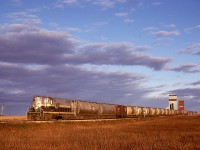 With only half an hour remaining before sunset, the thrice-weekly westward wayfreight from Grande Prairie, AB, to Dawson Creek, BC, is leaving Dimsdale, nine miles into its journey and with seventy-nine miles still to go on Friday 1979-09-28.  GP9 209 named SLAVE LAKE leads the way.