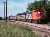 This unit train is returning back to Edmonton with 36 sulphur loads, scale test car CN52108 (it went up north on June 19th) and caboose 79286. The time is 19:00 and here is one of the few photos I shot at Gibbons. Except for a couple of tall hoppers in the middle, it is almost a solid train of short ones.