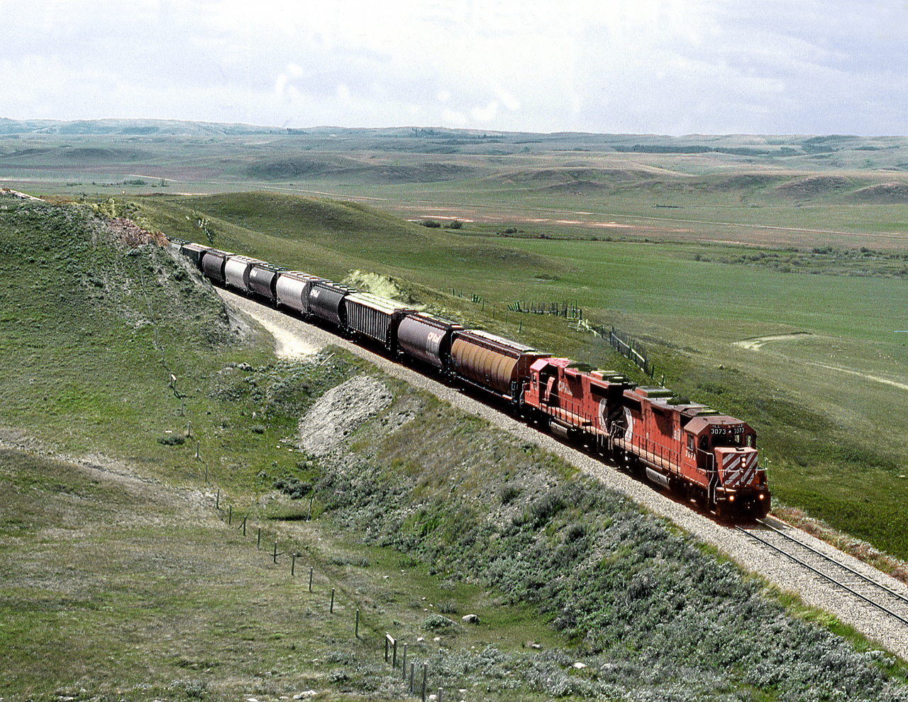 The eastbound Shaunavon Tramp on a run run from Frontier to Shaunavon climbs out out of the Eastend Coulee on the south side of the CYpress Hills
