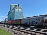 Grain hoppers waiting to be loaded at Bashaw Processors (former Alberta Wheat Pool elevator) in Bashaw, Alberta.