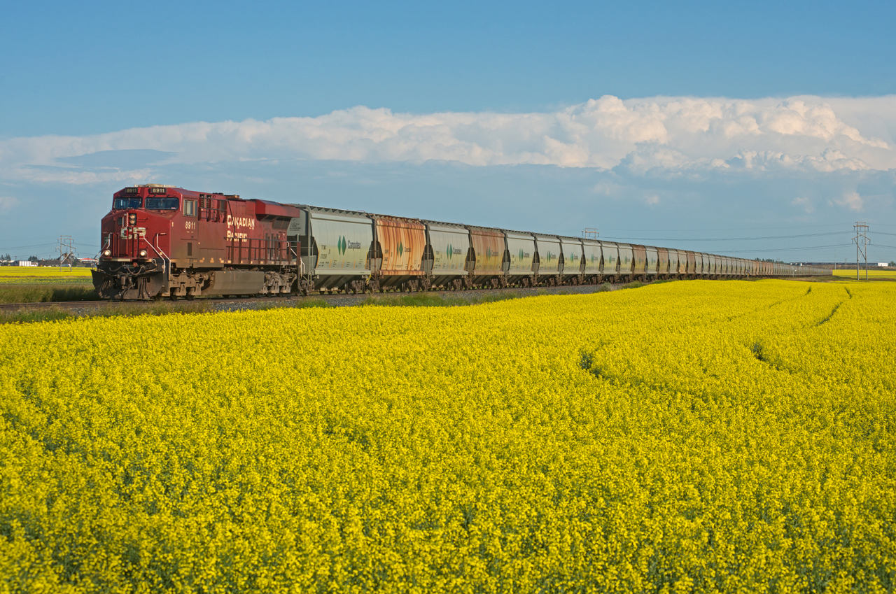 With a fresh Sutherland crew aboard, CP train 602 is seen departing the north end of Regina on the Lanigan Subdivision. A thunder storm brewing to the south and bright yellow canola in the forgoing make up for the all too standard power.