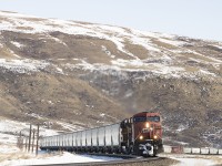 CP 8838 with a UP SD70ACE westbound, snake through Glenbow Ranch Provincial Park. Located between Calgary and Cochrane Alberta.  