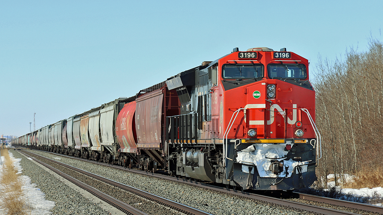 CN 3196 is the rear DP on a grain train approaching Wainwright