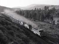 With the CN mainline just returned to the north side of the Thompson River (bridge 34.0 in the distance) just west of Walhachin, an early morning (0643 PDT) view of CN 5352 + 5262 + 5091 handling a westward hotshot with an essentially brand new SD40-2W unit leading and a block of loaded open tri-level auto carriers near the headend was possible on Sunday 1980-06-08.