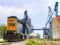 A busy scene at the elevator in Tupperville, Ontario. Grain dust fills the air as a transport takes on a load of area grain. The conductor of D924 has bent the iron to gain access to the last customer serviced by CSX on the former C&O Sub 2 south of Sarnia to exchange the four grain loads with four empties. CSX ceased service through here in October 2013 and the rails have remained silent ever since. 