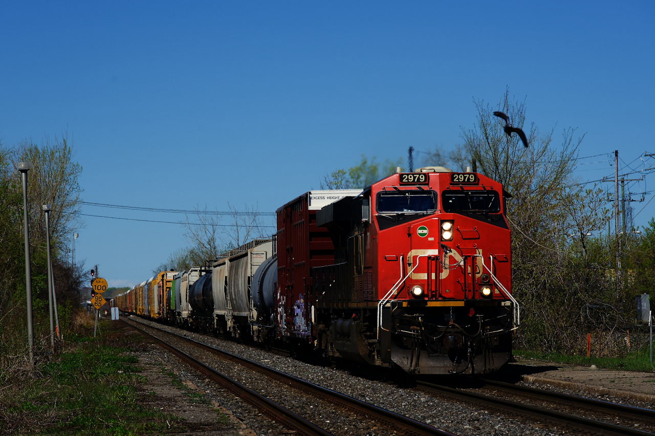 A bird is getting out of the way as CN 368 approaches Dorval Station with its usual 1+1 GE power (in this case, CN 2979 + CN 3074).