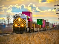 CN 3968, a former Citirail unit, pulls a long intermodal to go into Symington yard crossing Panet Road in the process.
