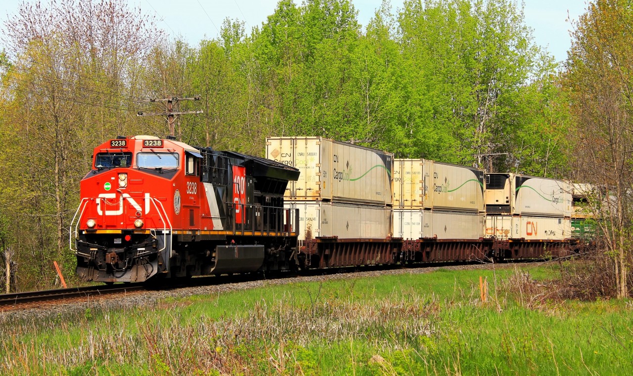 The peace and quite of an early spring morning in cottage country is shattered by a monster intermodal as it passes through Washago, Ontario heading south to Toronto. Although early may, the leaves are showing that fresh spring green.