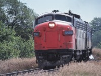 A mile or so north of the Maple station, VIA's Super Continental train 3 roars north with a 16 car consist behind former CN units 6501-6633-6509.
