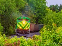 New Brunswick Southern Railway 6410 leads train 120 as they come out of the woods and around the bend at Grand Bay, New Brunswick. Nice to have the green scene that the summer brings. Rain for the last two days really brings out the tree colors, and the green ponies are a nice touch. 