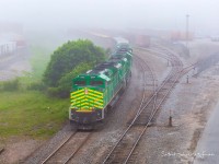 NBSR train 120 pulls through the yard and is about to do their switching before heading to the shops. There is a rail yard down there, I swear... 