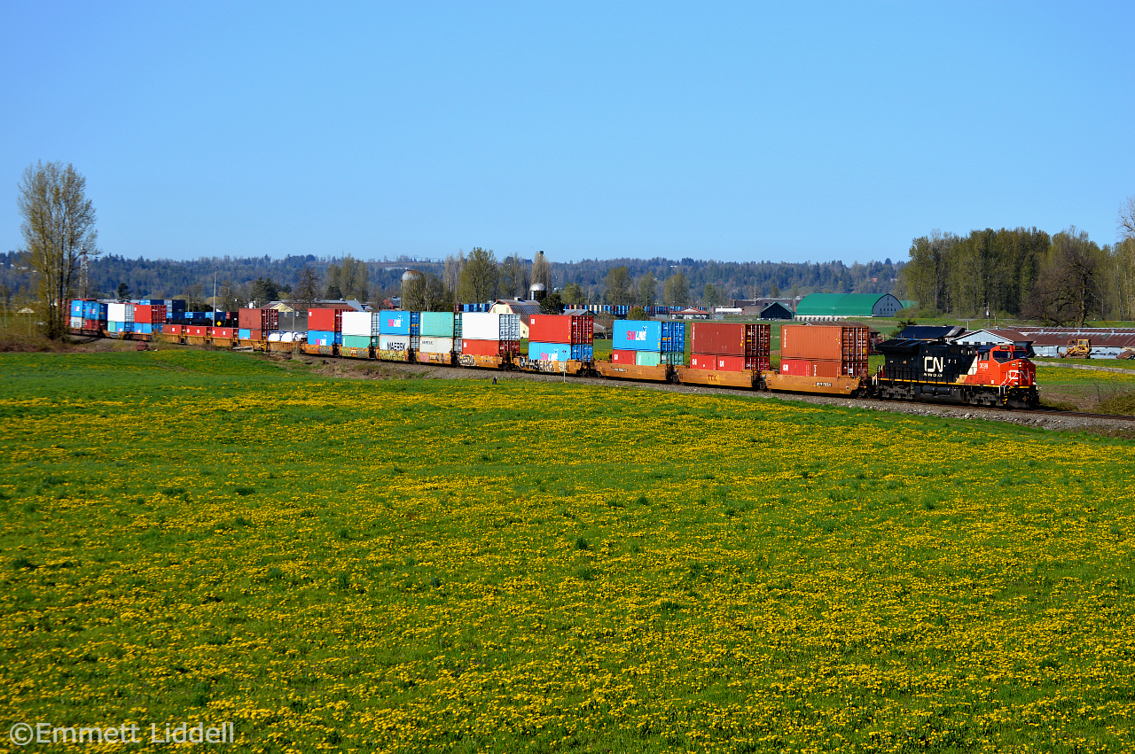 During the last week of April, we took the Canadian from Toronto to Vancouver. During the two days we had in BC we travelled to Mission BC and Matsqui Prairie, during our tour of the unfamiliar area we caught CN X118 Vancouver Thorton - Chicago Intermodal. Consisting of CN 3099 ET44AC and CN 8001 SD70M-2 (Not Pictured) and 143 platforms.