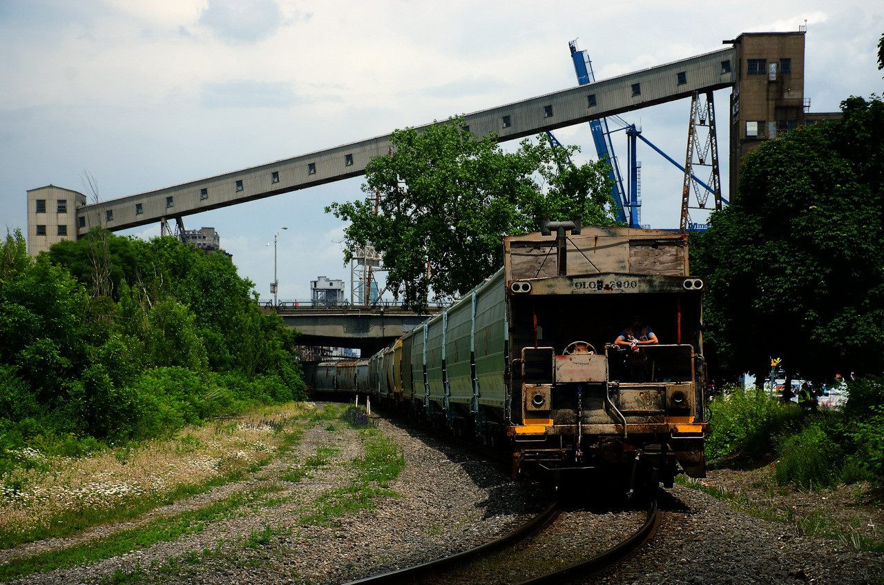 A shoving platform is leading as the Pointe St-Charles Switcher heads back to its namesake yard with grain empties, including some brand new ones right behind the caboose. It was taken out of service a couple of weeks ago, reportedly with a broken frame. A red GT caboose has taken its place.