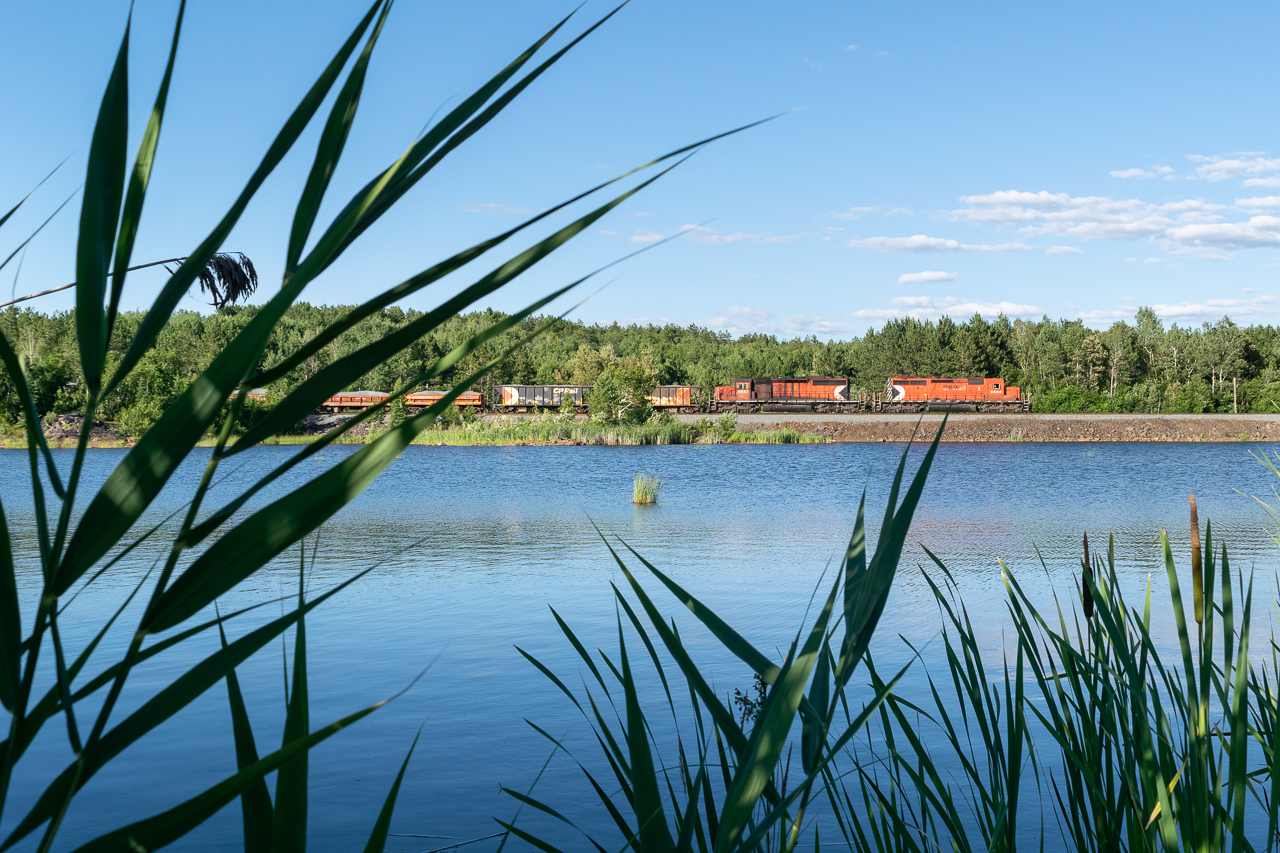 "Remember this sound," I said to L as the matching 645s rumbled closer and 5996 blew its K3 for McKim Mine Road. "It won't be around forever." The ballast train in evening light was an unexpected treat while we were running errands tonight.