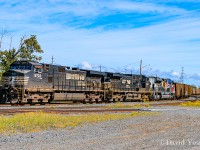 CN train 701 coke train has just completed dumping and is secured awaiting a crew to take it back west (then south). Trains 701/702 began running north to Thunder Bay in 2017 and have been a fairly regular fixture ever since. Due to it's start on the UP in Minnesota it's a guarantee to have foreign power. This days visitor had NS 9722-NS 4398 along with UP 1111- UP's "Employee Pride Locomotive".