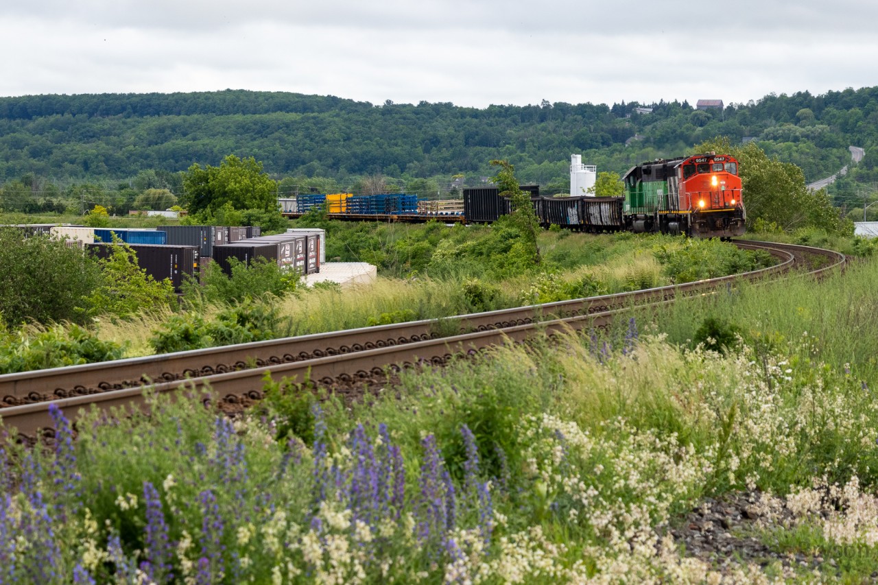 CN L581 makes an extremely rare move northbound up the Halton to work 2 industries on the 'Glass lead' in Milton, before rocketing back to Aldershot and eventually Brantford. CN 9547 and BNSF 2098 provide the power for this train. CN 581 might be the most random train in Southern Ontario, with it regularly running light power eastbound from Brantford and going down the Grimsby, or to Aldershot, or even Oakville. But this was the first time I've ever heard of 581 going up the Halton to Milton (doing 551s tasks). With the noodleless zebra and the Cascade Green geeps, as well as the overgrown state of the tracks, this could easily be an obscure shortline. CN in 2023 folks.