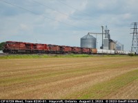 With the wheat having been taken off last week a slightly different perspective of CPKC Train #231-01 was possible as it rolled through Haycroft, Ontario on August 2, 2023 with 6 units on point.  Mind you 5 of those are D.I.T. enroute for possible rebuild, but the entire consist is comprised of CP 8729, CP 8559, CP 8558, CP 8502, CP 8566, and CP 8567, with CP 9379 as the mid-train DPU.  Seems like only yesterday that this would have been 6 SD40-2's up front, but I digress......