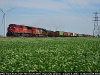 CPKC Train #135, with CP SD70ACu #7031 and CN ES44AC #2875, speeds across the flatlands of Essex County just west of Haycroft, Ontario on August 8, 2023 while traversing the CP Windsor Subdivision from London to Windsor.  Not many trains on the line anymore compared to the mid-90's, but you do the best with what they give you.