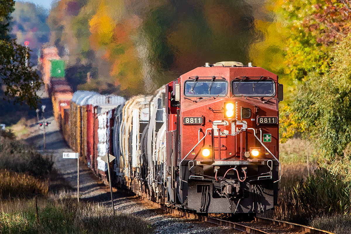 CP 8811 rolls eastbound on the Belleville Sub during the brief but colourful autumn.