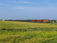 The Clover Bar to Scotford transfer B82-06 rolls through Griesbach with BNSF 5962 on the point. 