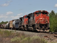 A Canadian National general freight roars south on the Bala Subdivision near mileage 263 on May 25, 2012.  Power for the train is the 8016 and 2136.