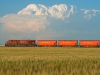 A loaded CPKC potash train rolls through the countryside of Albatross Saskatchewan. Clear skies to the west illuminate the scene nicely, however the weather to the northeast is a different story.  In the background a supercell brings thunderstorms and lots of rain the areas around Southey and Cupar SK. 