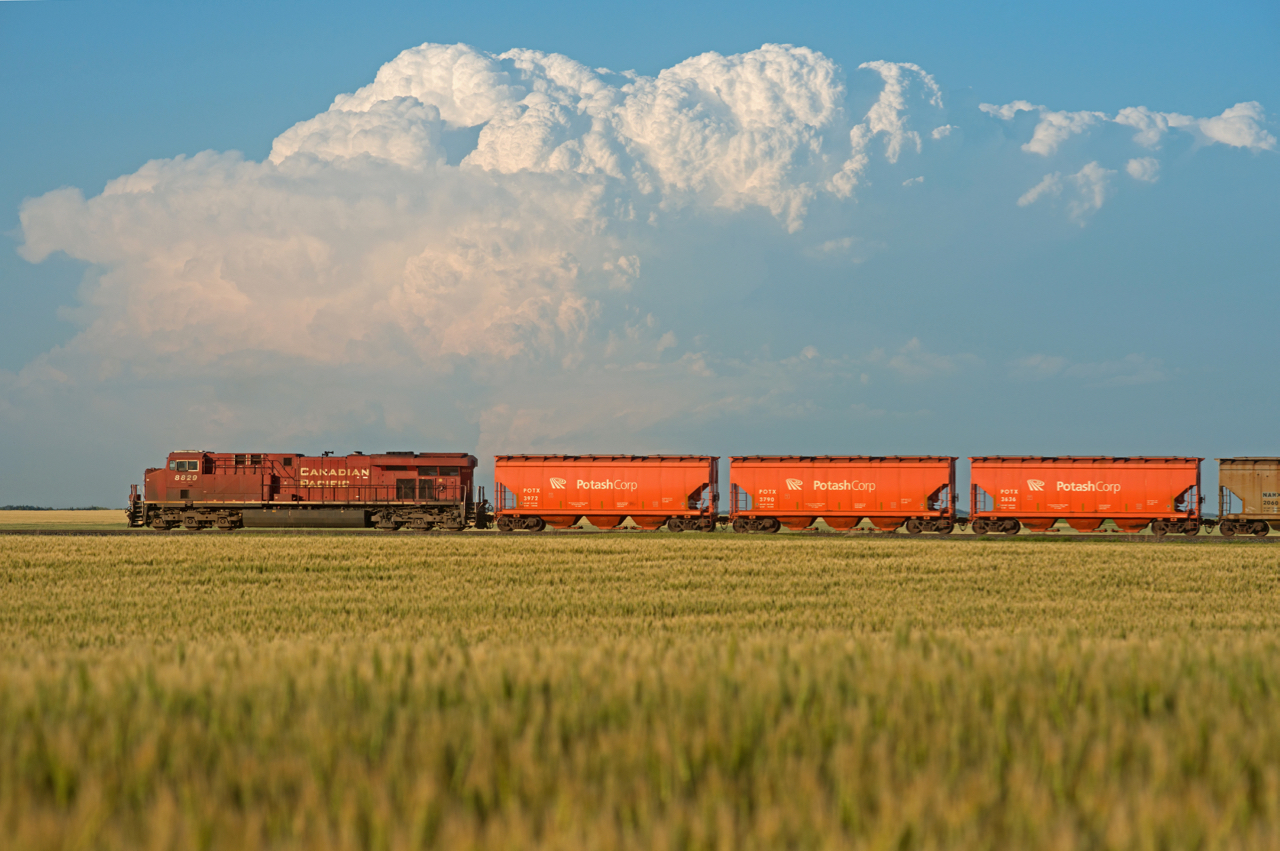 A loaded CPKC potash train rolls through the countryside of Albatross Saskatchewan. Clear skies to the west illuminate the scene nicely, however the weather to the northeast is a different story.  In the background a supercell brings thunderstorms and lots of rain the areas around Southey and Cupar SK.