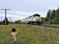 Well my six year old grandson graduated from his Fisher Price camera today to his new, (to him it is), Canon camera and this was his first train using it. Its just after 9am and the green light came on so through the field we went fully expecting the standard GO locomotive leading. The F59PH is a common sight (GO 562) at 8am but I have rarely saw one after. Around the bend came GO 564 and all I can hear is "Papa, an F59" and he was right. His photo turned out OK for his first shot so the learning curve has began. Now, every picture he takes I get the "is this rail pictures quality?" Hmmmm.