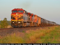 KCS 4516 leads CPKC train #529 into the fading afternoon light as it speeds through Tilbury, Ontario on it's way back to the U.S. for another load of Ethanol.  My first KCS leader on the CPKC Windsor Subdivision, and thank goodness the light lasted.