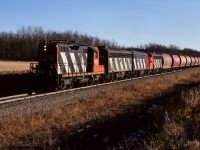 Starting several months previous to this photo date, the unit trains of sulphur empties would, on occasion, bring a bunch of grain hoppers on the headend (biggie sized in this instance). Dropped off where??? I don't know, Lac La Biche maybe? This was a long train with the grain cars, the caboose has yet to appear away down there in the brown of hoppers and trees. The shadows are already very long for 14:00 in the afternoon, amazing weather for December, no snow. Caboose 79605 at the rear.