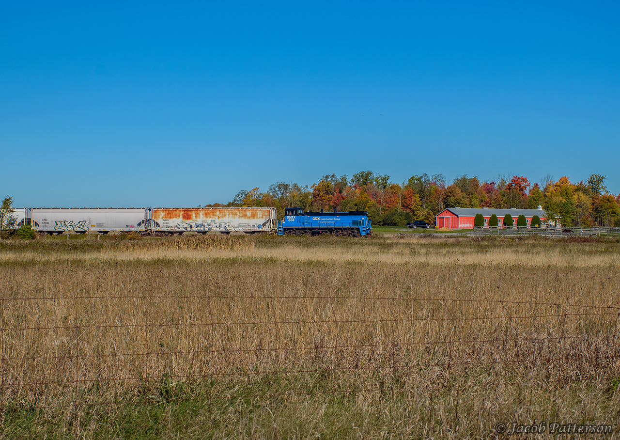Fall colours top the trees beyond the twice weekly wayfreight, making its way southbound along the Orangeville Brampton Railway.