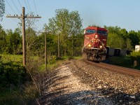 CP 239 rips around the bend, getting up to trackspeed after clearing Guelph Junction with CP 9722 leading. Highball to London!