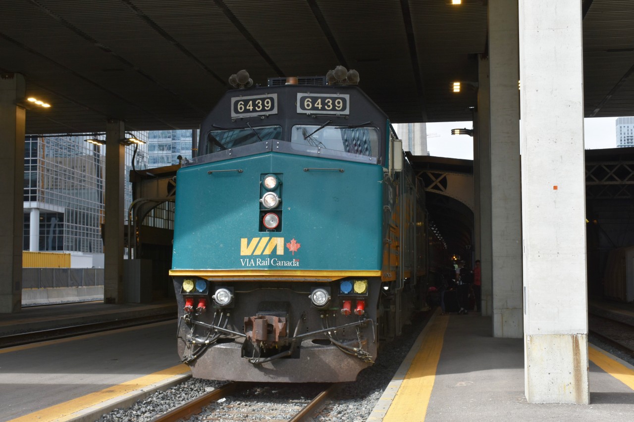 VIA 6439 is in charge of VIA #64 Toronto to Montreal daily at Union Station Toronto, ON August 30, 2023. 
The original train shed roof is visible behind the newer concrete structure at the east end of the station complex.