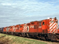 Peter Jobe photographed CP 8696, 8626, 8809, and 8816 in Wetaskiwin, Alberta on May 26, 1983.