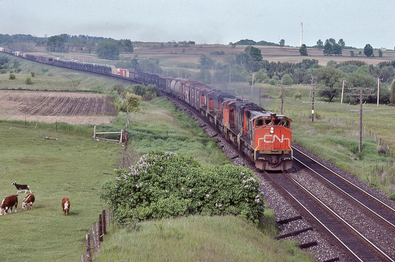 Nadda  G E   G M D   in sight !   


 A  bevy of  420's  pounds through the Northumberland Hills.


 Count them: five  M L W  1970's built M-420W's 


 #2561 – 2570 – 2572 – 2565 – 2525 


 These M-420W's will be renumbered (in 1986) to the 3500 series 


 & by the mid 1990's many would be sold to shortlines 


 At the Newtonville overpass, June 11, 1983 Kodachrome by S.Danko.


   Twas worth the chase