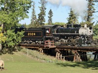 During Railway Days Heritage Park's steam passenger train makes it way across the trestle and seemingly causing no concern at all to the sheep grazing in their pen.