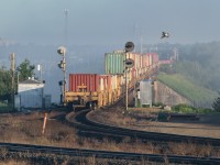 Ruffed Grouse does a good job of photo bombing as a west bound intermodal crosses a foggy river valley headed for Walker yard.