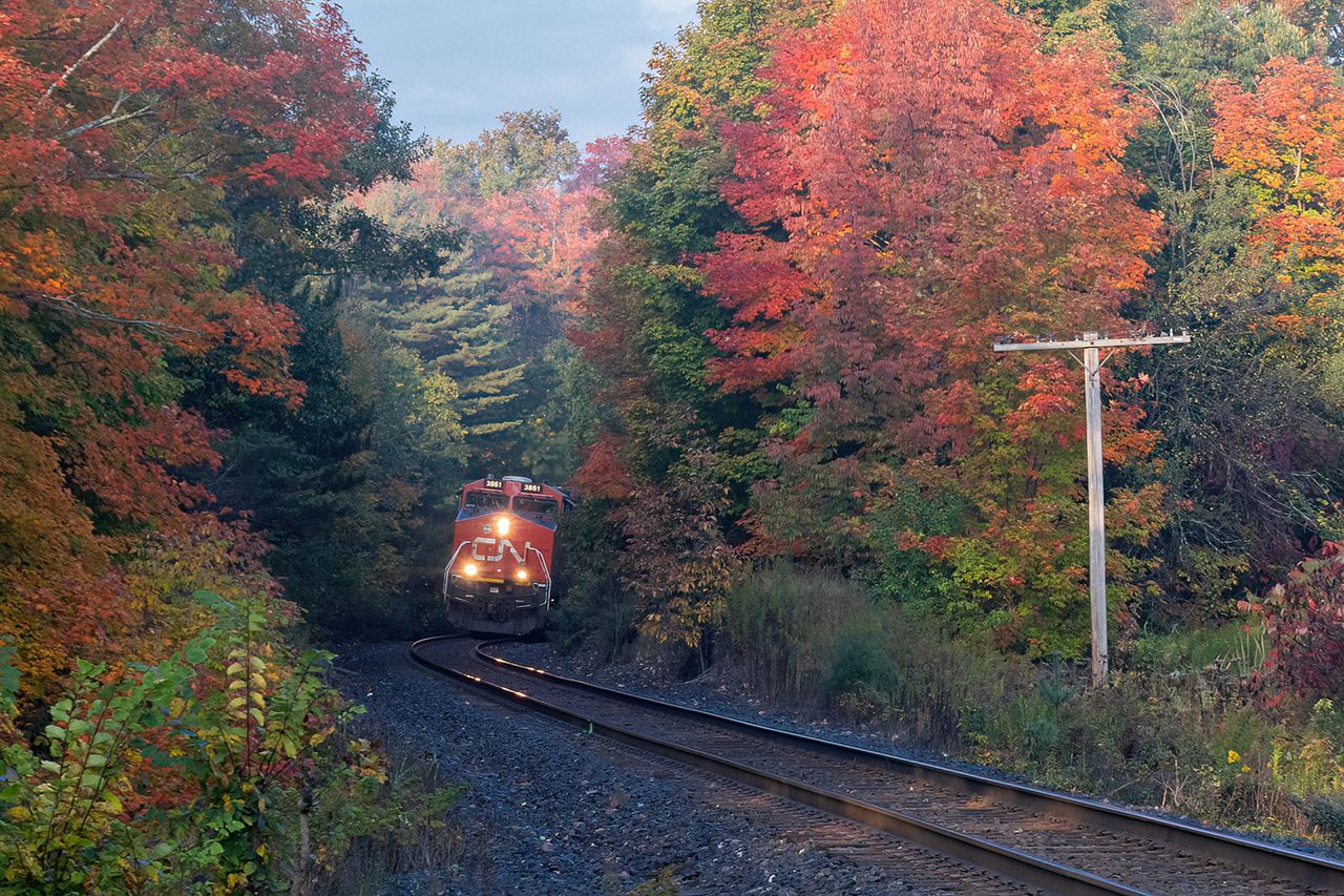 Peering trough the fall colours in the early morning.