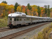 Prince Albert Park brings up the tail end of 21 glorious stainless steel cars of VIA 1 passing through Muskoka just after the peak of fall colour season. It's windy cold, and raining. I couldn't care less. It can't, but I wish this train could stay like this forever. 
