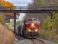 Every time I've taken this shot, I imagine how great it would look with 2816 passing underneath....But it's always nice to see the leaves flying.