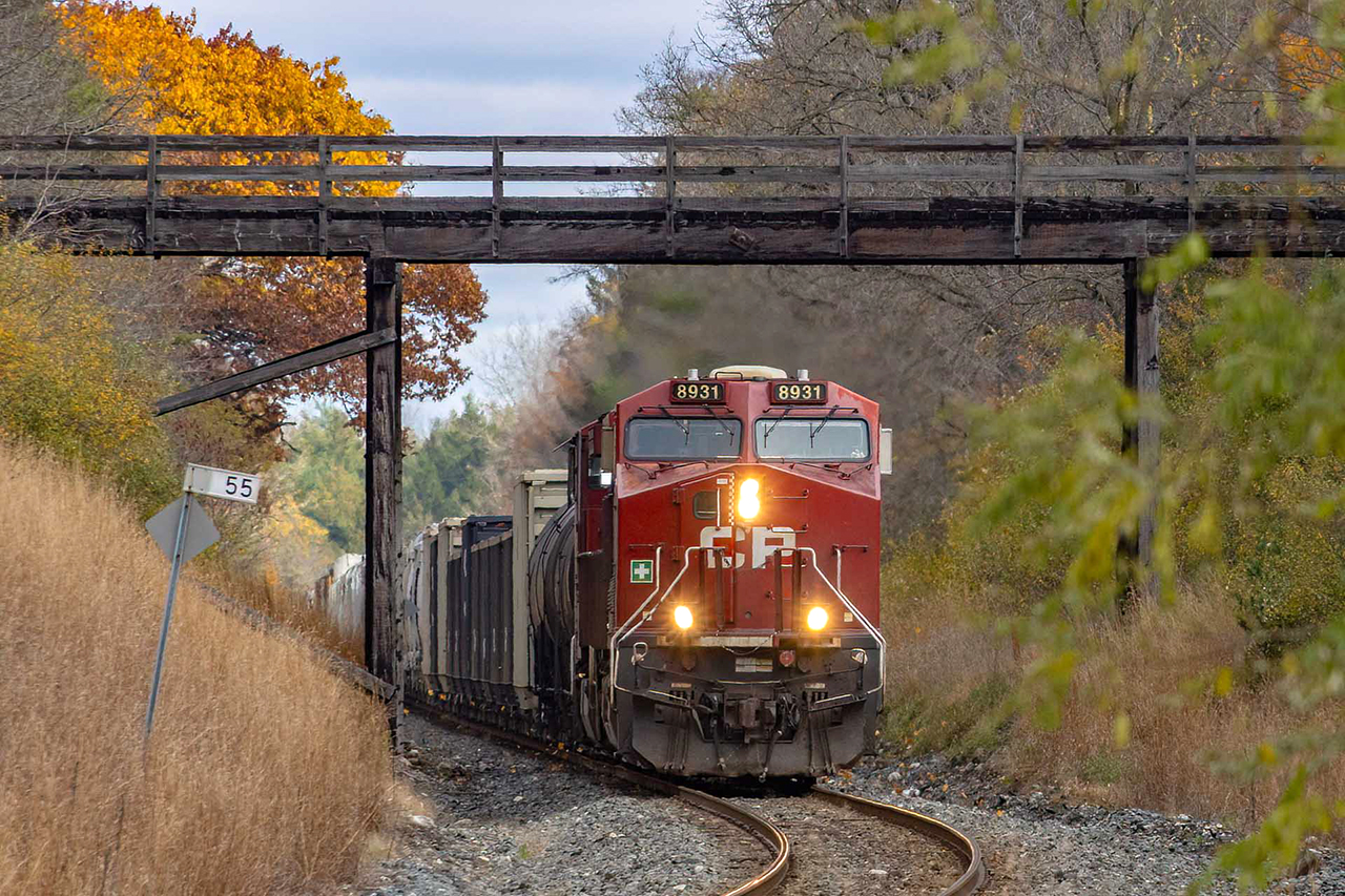 Every time I've taken this shot, I imagine how great it would look with 2816 passing underneath....But it's always nice to see the leaves flying.