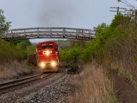 CP H88 climbs out of the Thames River valley west of Woodstock with 3 GP38-2s and 6200ft of traffic on the drawbar. Due to a derailment the week prior, H88 hadn't been able to run for 5 days. Traffic piled up and the crew was tasked to bring 103 cars back to London. 