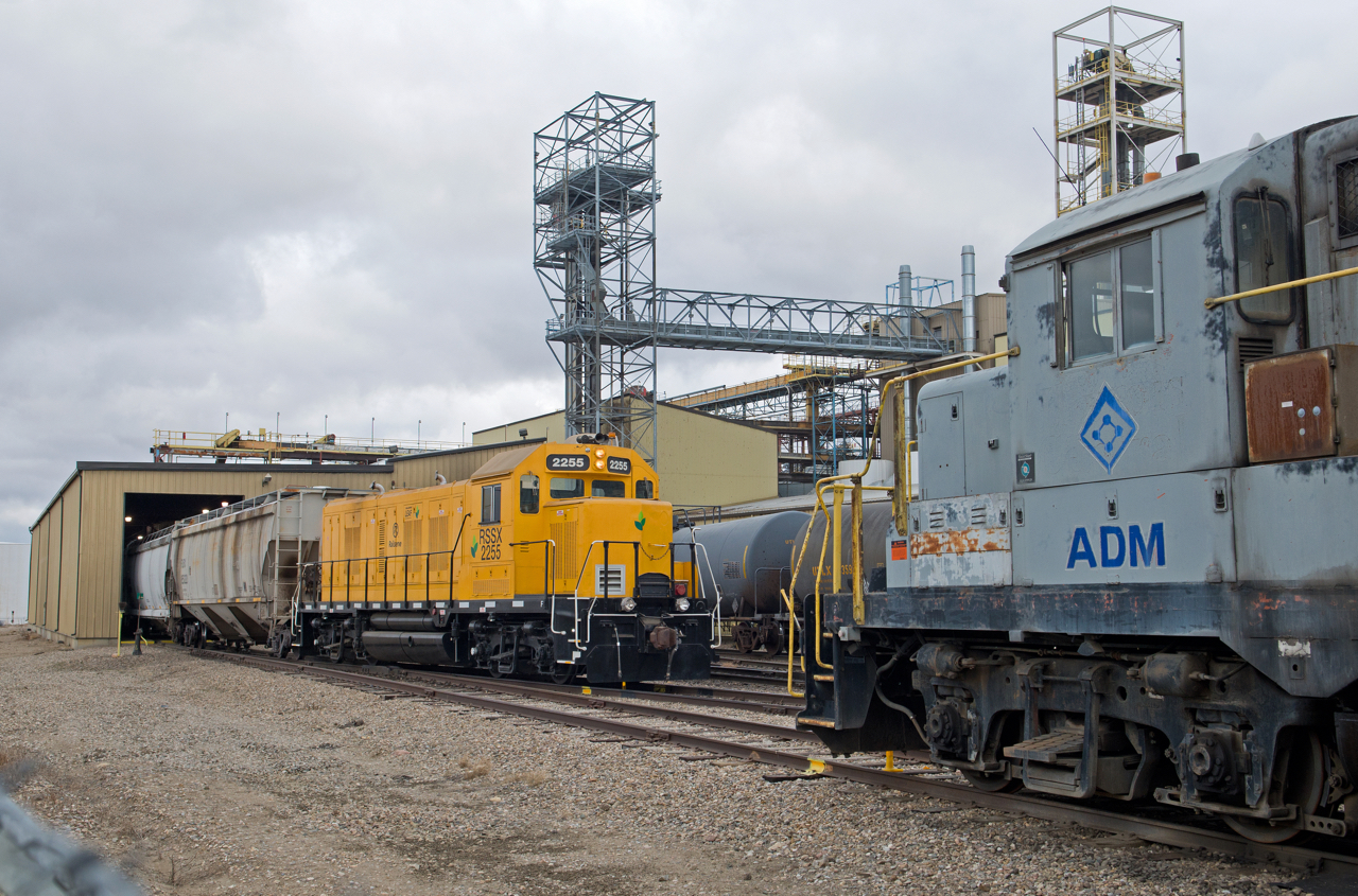 ADM's large facility on the west side of Lloydminster is home to a fleet of not less than four locomotives. Two units are visible here as a tired looking GP10 ADMX 8316 looks on as clean "LEAF" RSSX 2255 pulls empties through the building to spot on the next track over.