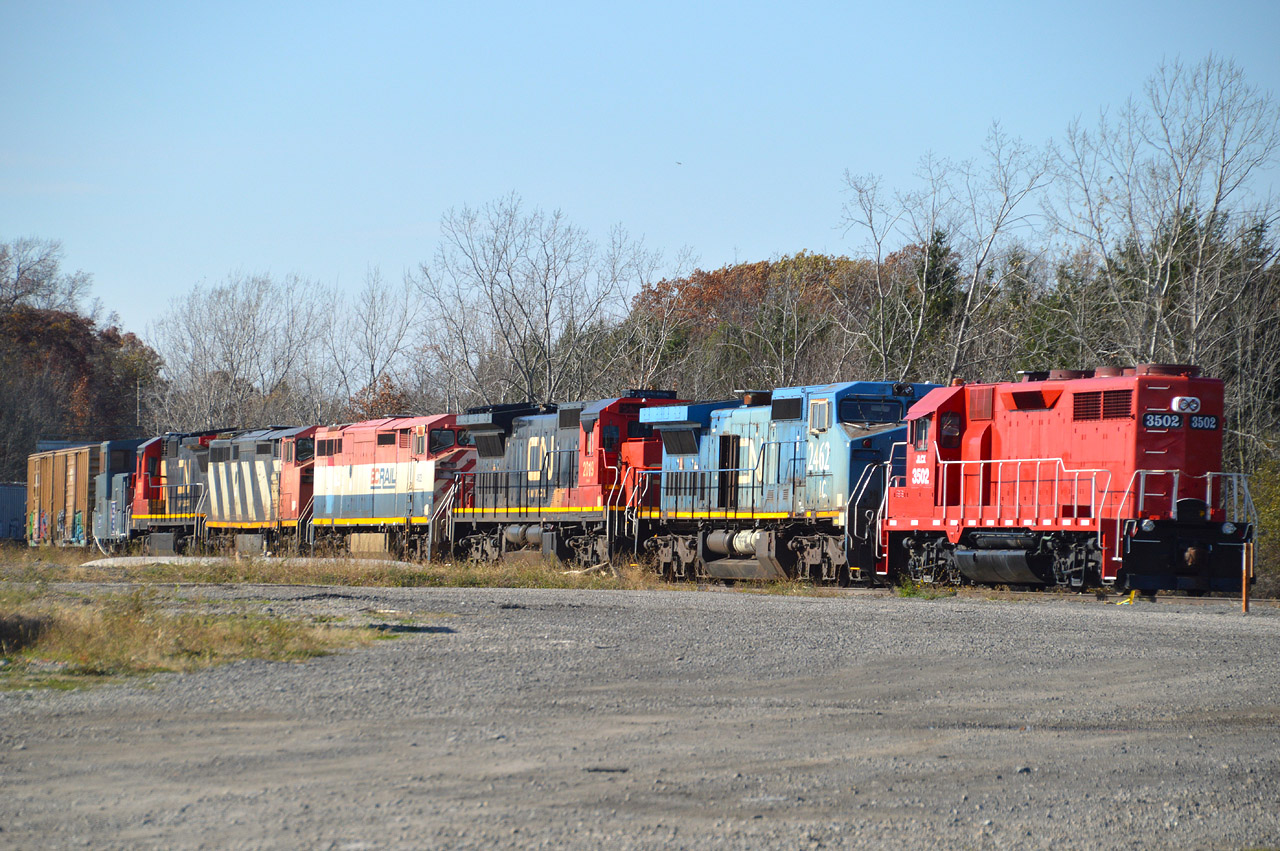 Impressive collection of stored power building up  at the GIO facility off Philips Rd. From the right, JLCX 3502, CN (IC) 2462, CN 2019, CN (BCOL) 4623, and these eyes could not make out the last two, 24xx and a 20xx. I guess these are all stored in a safe place (NO trespassing) pending a new home.  Rescued from the scrapper.