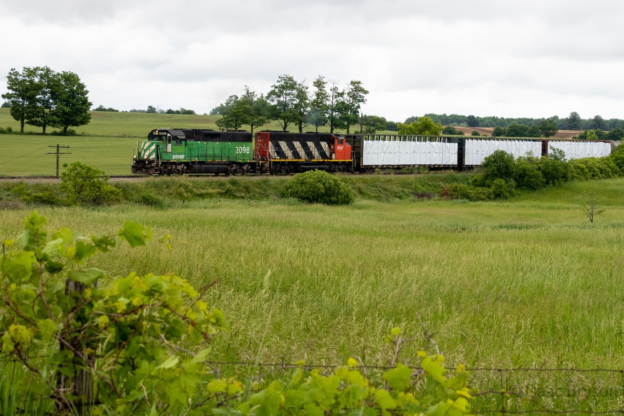 The Green Goblin frenzy has ended...
CN 580 (and 581) might have been the most popular train all summer, with BNSF 2098 headlining the set and the likes of CN 9547, 4713, and 4791 acting as supporting characters. But of course, in early June when it first arrived, we didn't know it would last that long. On one of its first trips along the Hagersville sub, BNSF 2098 & CN 9547 cut through the rolling hills north of Onondaga ON with 11 loads from CGC.