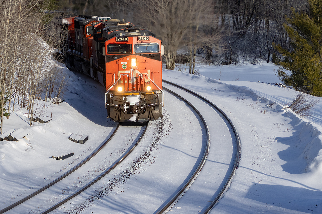 Carving through the fresh snow.